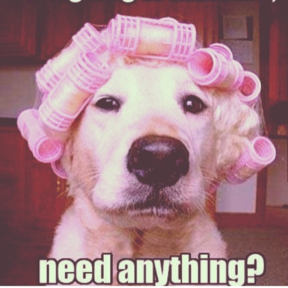 Meet your Posher, Mati - Picture 1 of 1